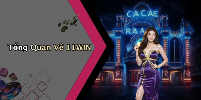 Tổng Quan Về 11WIN