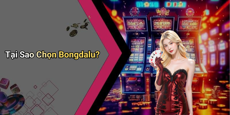 Tại Sao Chọn Bongdalu?