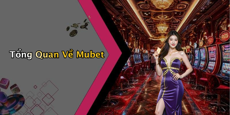 Tổng Quan Về Mubet