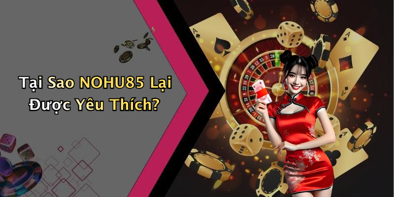 Tại Sao NOHU85 Lại Được Yêu Thích?