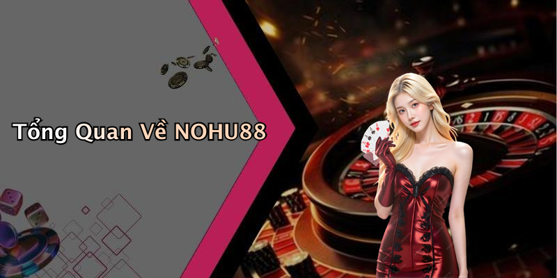 Tổng Quan Về NOHU88