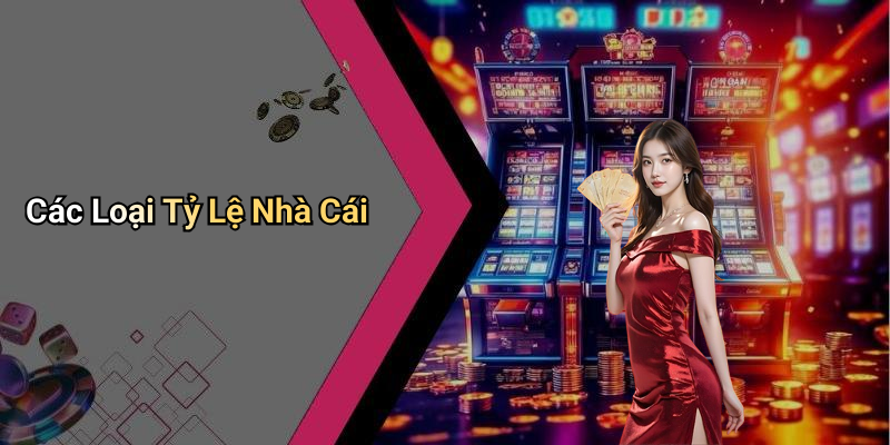 Các Loại Tỷ Lệ Nhà Cái