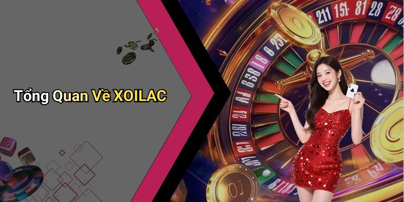 Tổng Quan Về XOILAC