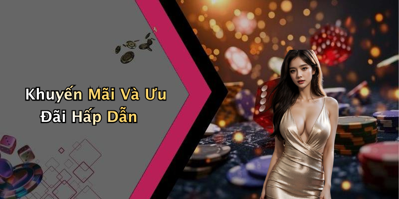 Khuyến Mãi Và Ưu Đãi Hấp Dẫn