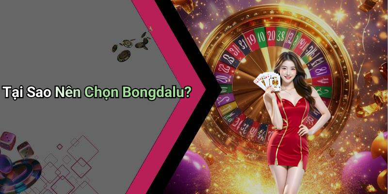 Tại Sao Nên Chọn Bongdalu?