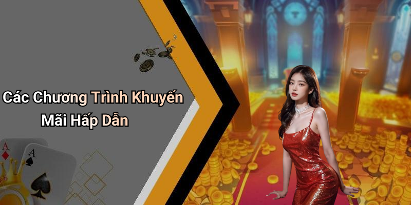 Các Chương Trình Khuyến Mãi Hấp Dẫn