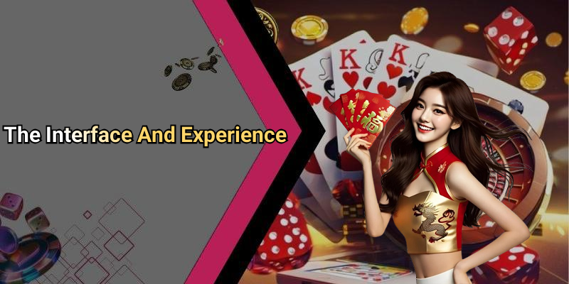 The Interface And Experience